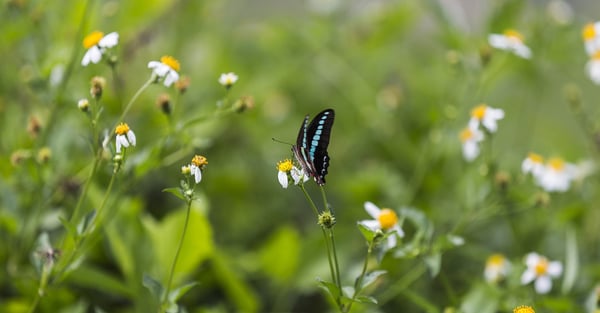 Därför bör du investera i miljösamordning
