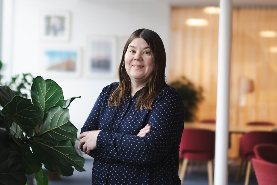 Webb_lågupplöst_12