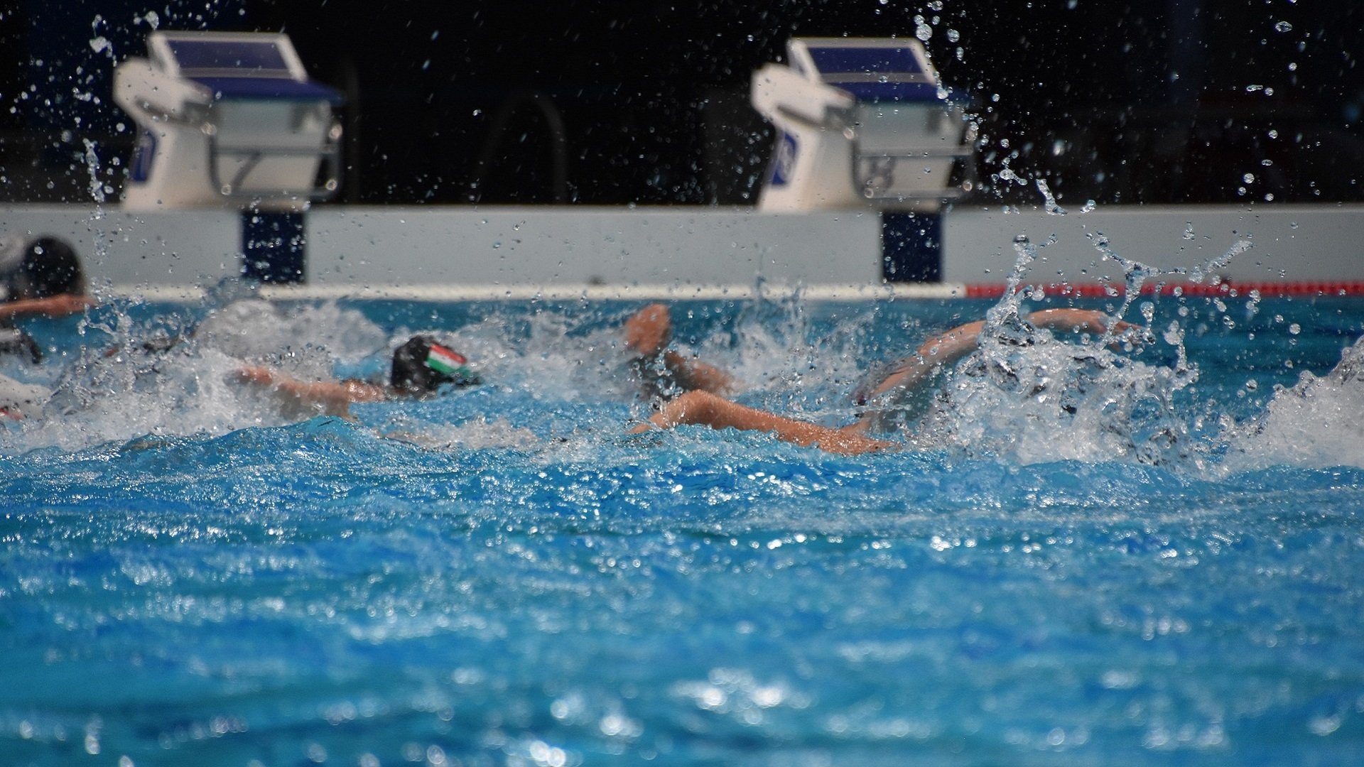 Simtävling där vattnet stänker - Ebab har projektlet flera renoveringar av simhallar