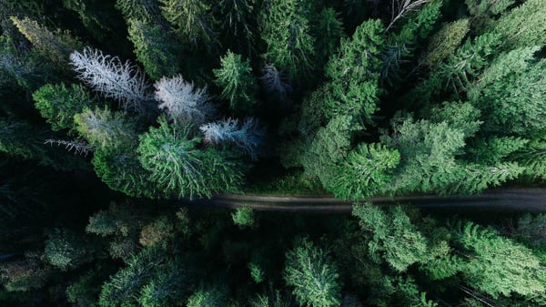 Taxonomi-ångest – och hur Ebab kan hjälpa dig