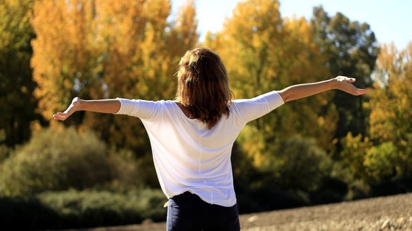 De 7 goda vanorna: vana 7