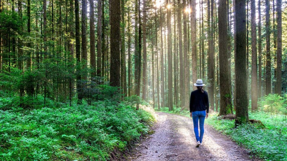 Kvinna går en promenad i skogen.